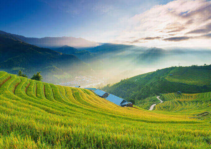 rice-terraces